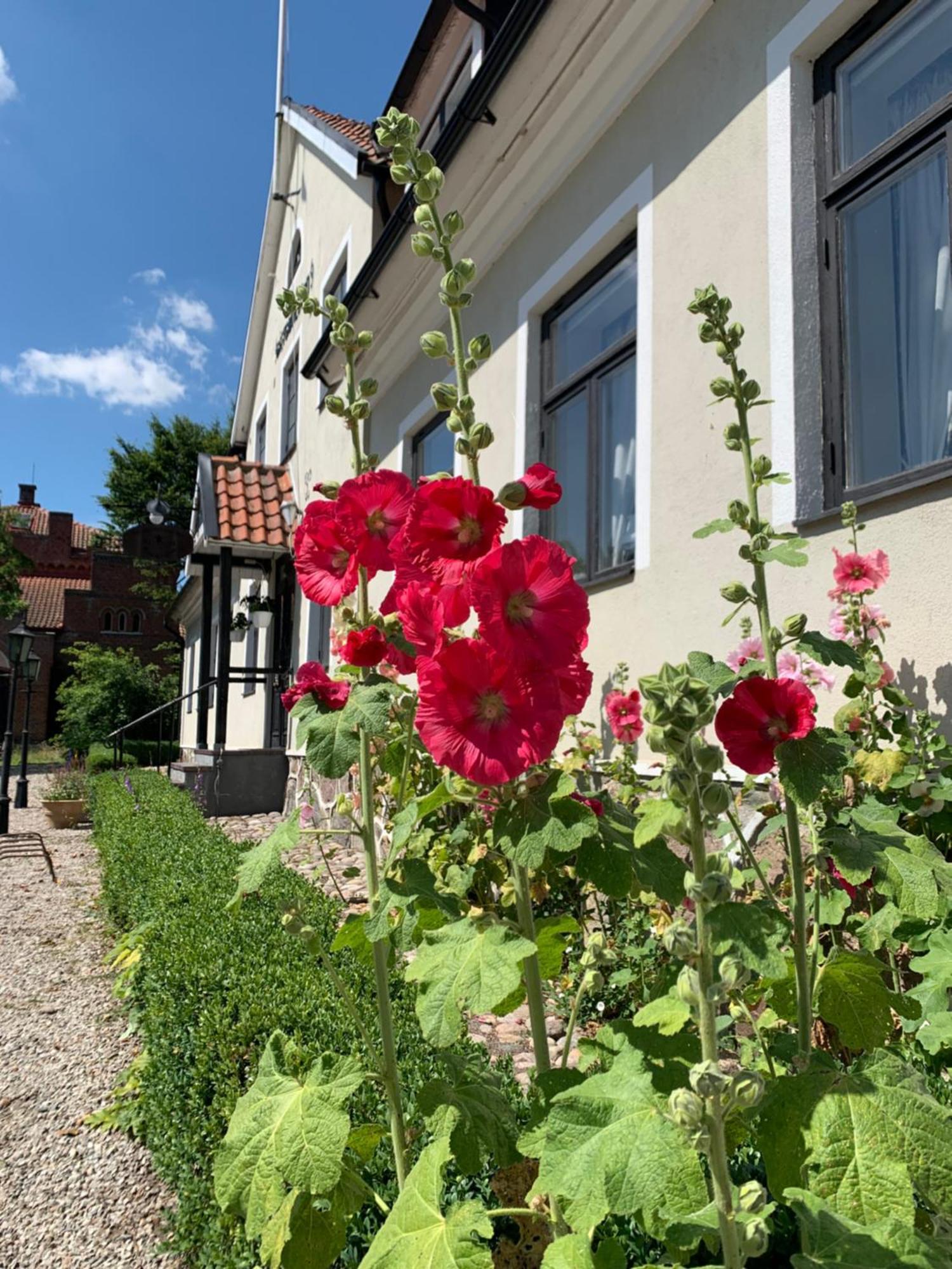 Hammenhoegs Gaestgivaregard Exterior foto